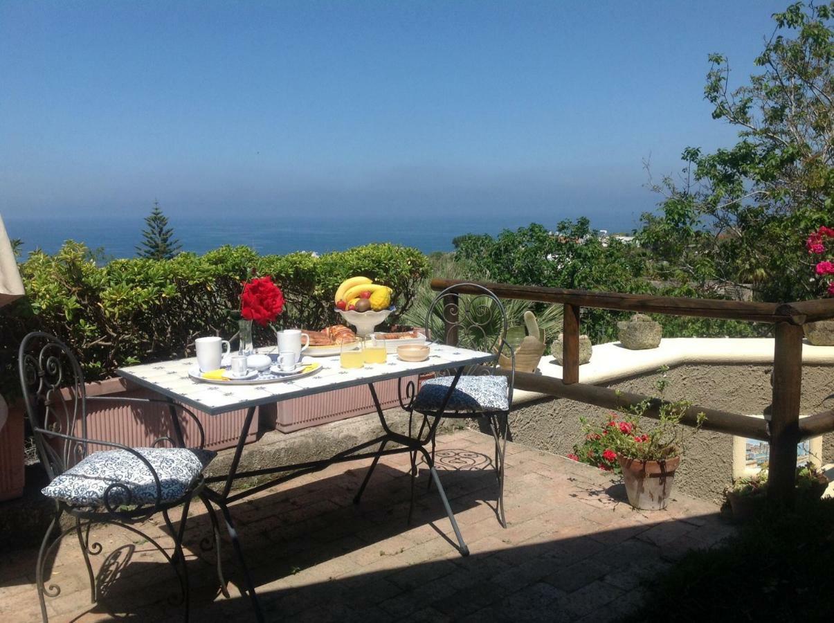 La Terrazzina Sul Tramonto Bed & Breakfast Forio di Ischia Exterior foto